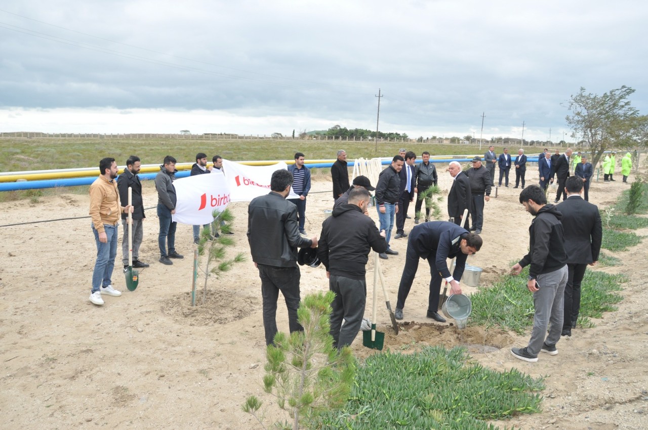 Pirallahıda Anım günü ilə bağlı silsilə tədbirlər keçirildi - FOTOLAR
